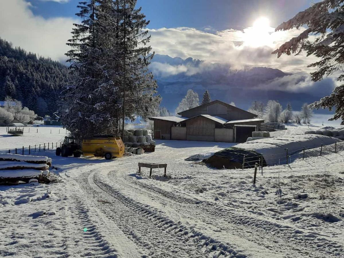 Urlaub Am Bauernhof Bei Familie Steinbrecher Bad Mitterndorf Luaran gambar